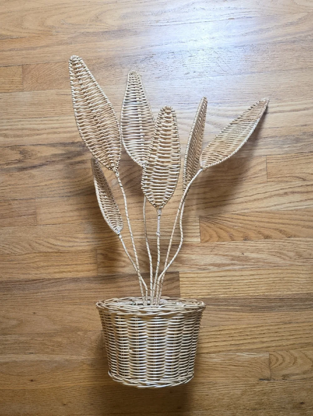 Anthropologie Terrain unique HTF wicker Bird Of Paradise plant